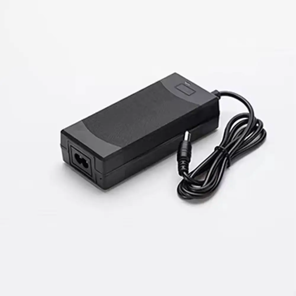 Cargador de batería automático para coche de 12V y 24V